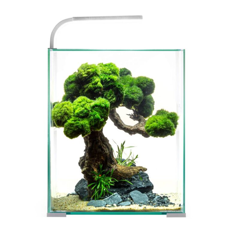 Аквариум AQUAEL Shrimp Set Smart LED D/N 10/10л белый, 20х20х25см — цена и наличие Аквариум AQUAEL Shrimp Set Smart LED D/N 10/10л белый, 20х20х25см
