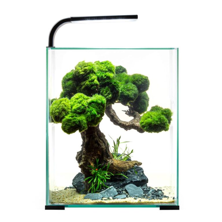 Аквариум AQUAEL Shrimp Set Smart LED D/N 10/10л черный, 20х20х25см Аквариум AQUAEL Shrimp Set Smart LED D/N 10/10л черный, 20х20х25см