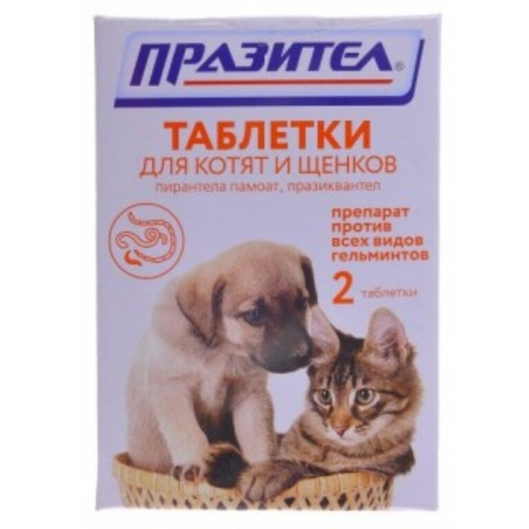 Антигельминтик для щенков и котят НПП СКИФФ Празител таб. 2шт