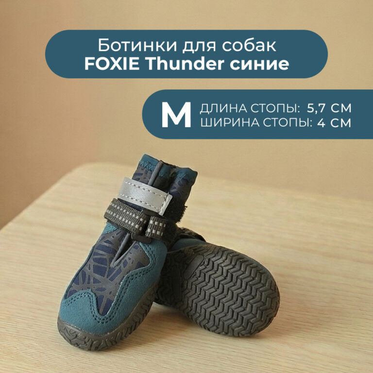 Ботинки для собак Foxie Thunder M 5,7х4см синие
