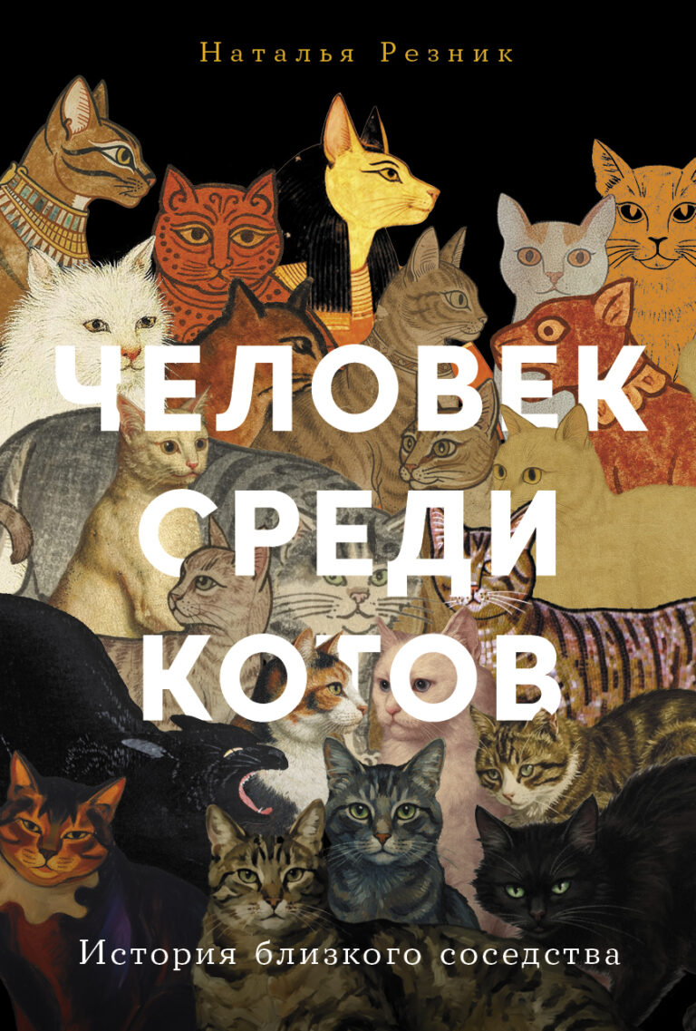 Человек среди котов: История близкого соседства