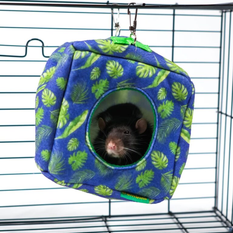 Домик-гамак для грызунов и хорьков BAMBINI PETS Куб подвесной из фетра 16х16х16см Домик-гамак для грызунов и хорьков BAMBINI PETS Куб подвесной из фетра 16х16х16см