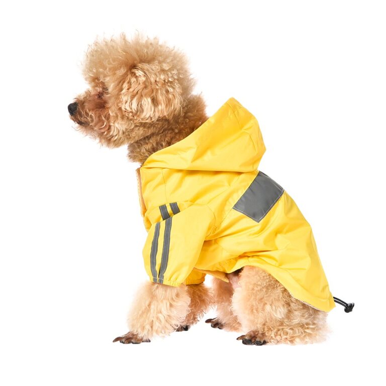 Дождевик для собак Foxie Rain желтый р. S (длина спины 30см)