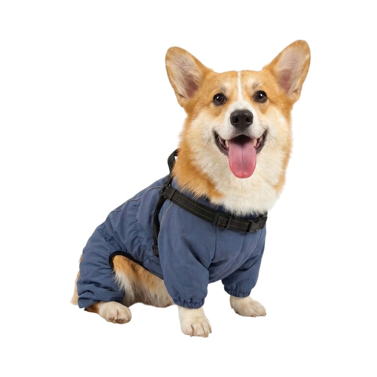 Дождевик-комбинезон для собак Barking Blue Foxie XL со шлейкой (длина спины 45см) синий — цена и наличие Дождевик-комбинезон для собак Barking Blue Foxie XL со шлейкой (длина спины 45см) синий