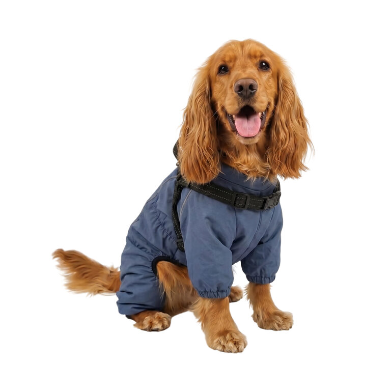 Дождевик-комбинезон для собак Foxie Barking Blue L со шлейкой (длина спины 40см) синий — цена и наличие Дождевик-комбинезон для собак Foxie Barking Blue L со шлейкой (длина спины 40см) синий