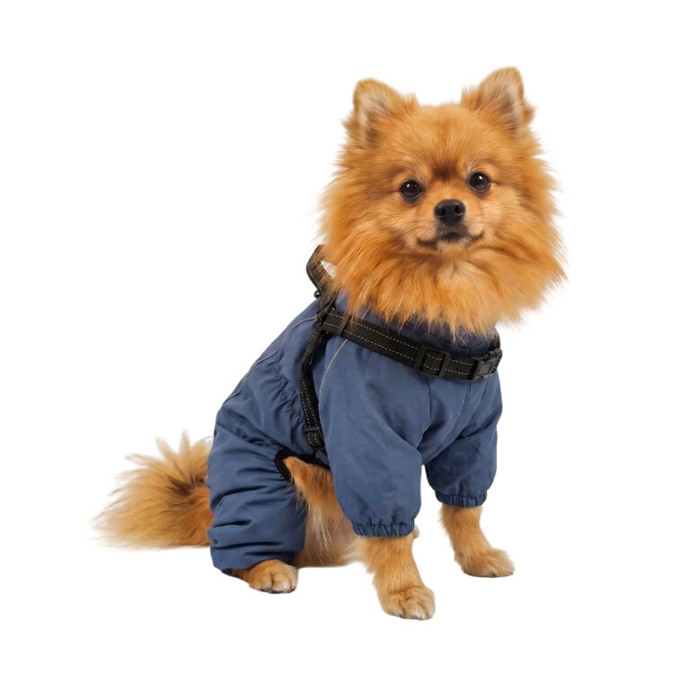 Дождевик-комбинезон для собак Foxie Barking Blue XS со шлейкой (длина спины 25см) синий Дождевик-комбинезон для собак Foxie Barking Blue XS со шлейкой (длина спины 25см) синий