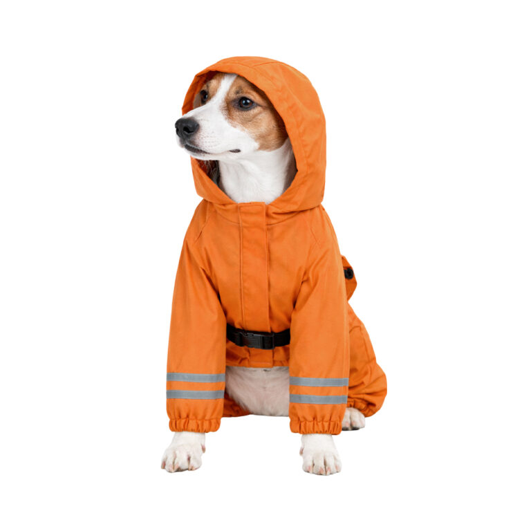 Дождевик-комбинезон для собак Foxie Orange Adventure M (длина спины 35см) оранжевый — цена и наличие Дождевик-комбинезон для собак Foxie Orange Adventure M (длина спины 35см) оранжевый