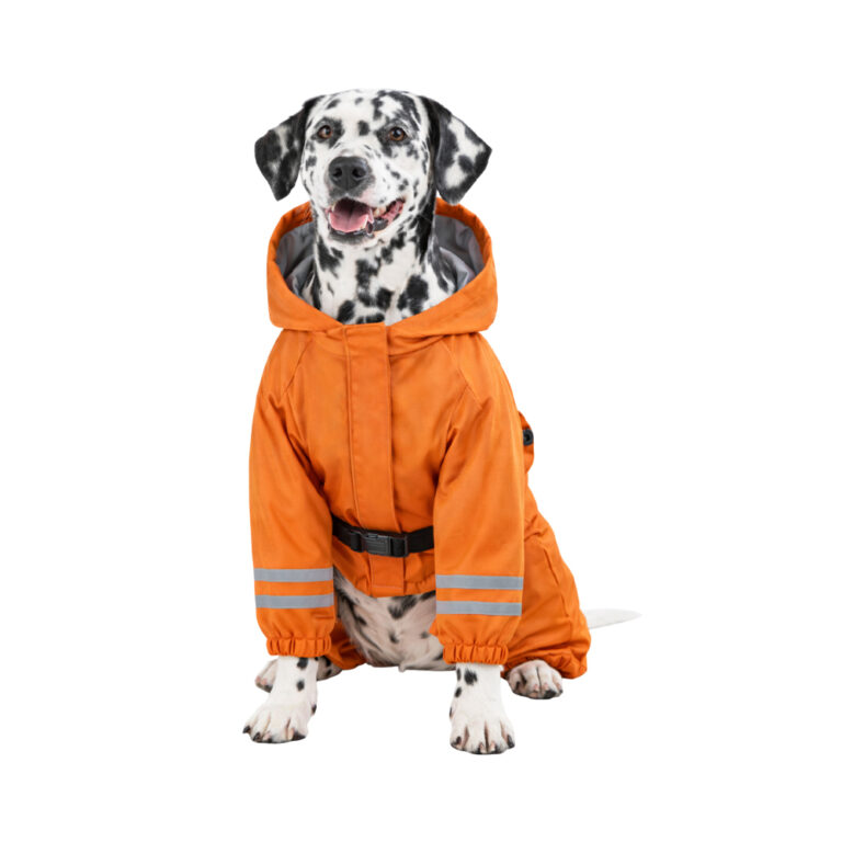 Дождевик-комбинезон для собак Foxie Orange Adventure XL (длина спины 45см) оранжевый — цена и наличие Дождевик-комбинезон для собак Foxie Orange Adventure XL (длина спины 45см) оранжевый