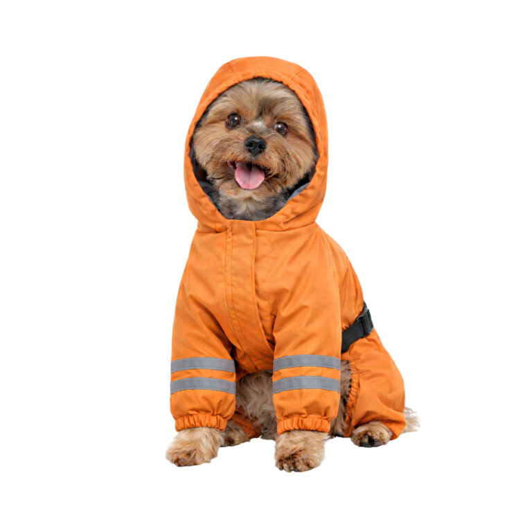 Дождевик-комбинезон для собак Foxie Orange Adventure XS (длина спины 25см) оранжевый