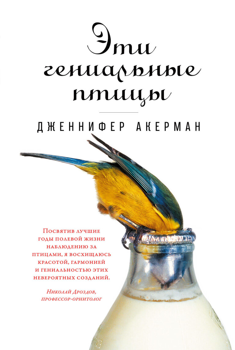 Эти гениальные птицы Эти гениальные птицы