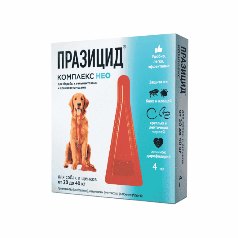 Капли Apicenna Празицид-комплекс NEO д/соб 20-40кг, 1пип, 4 мл — цена и наличие Капли Apicenna Празицид-комплекс NEO д/соб 20-40кг, 1пип, 4 мл