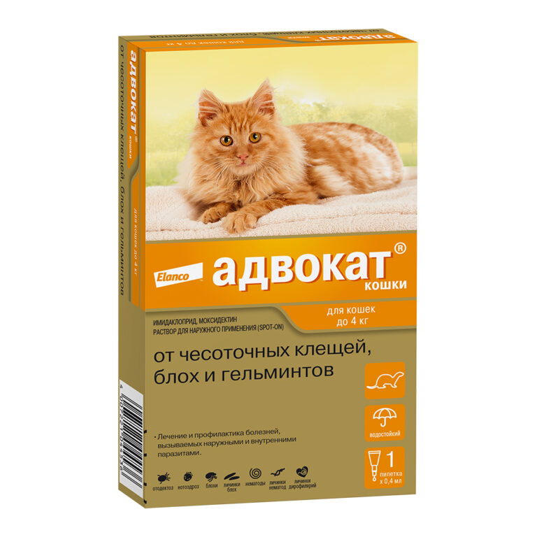 Капли для кошек Elanco Адвокат от чесоточных клещей, блох и гельминтов (до 4кг веса) 0,4мл,1 пип.в уп Капли для кошек Elanco Адвокат от чесоточных клещей, блох и гельминтов (до 4кг веса) 0,4мл,1 пип.в уп