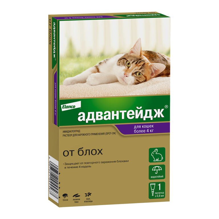 Капли для котят и кошек Elanco Адвантейдж от блох (более 4кг) 1 пипетка в упаковке 0,8мл — цена и наличие Капли для котят и кошек Elanco Адвантейдж от блох (более 4кг) 1 пипетка в упаковке 0,8мл