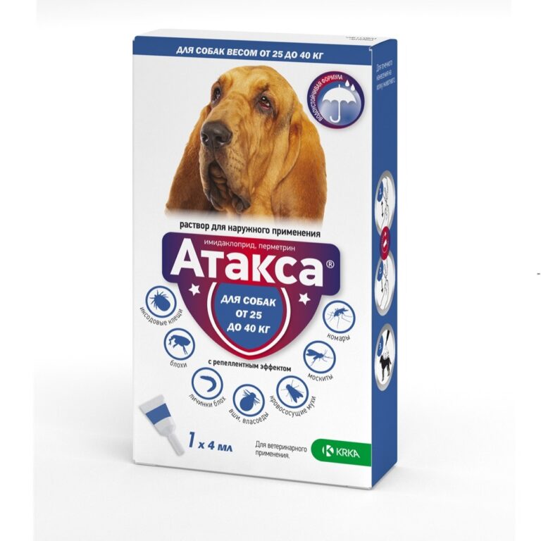 Капли для собак KRKA Атакса от иксодовых клещей, блох, вшей, власоедов (свыше 25кг) 4,0мл — цена и наличие Капли для собак KRKA Атакса от иксодовых клещей, блох, вшей, власоедов (свыше 25кг) 4,0мл