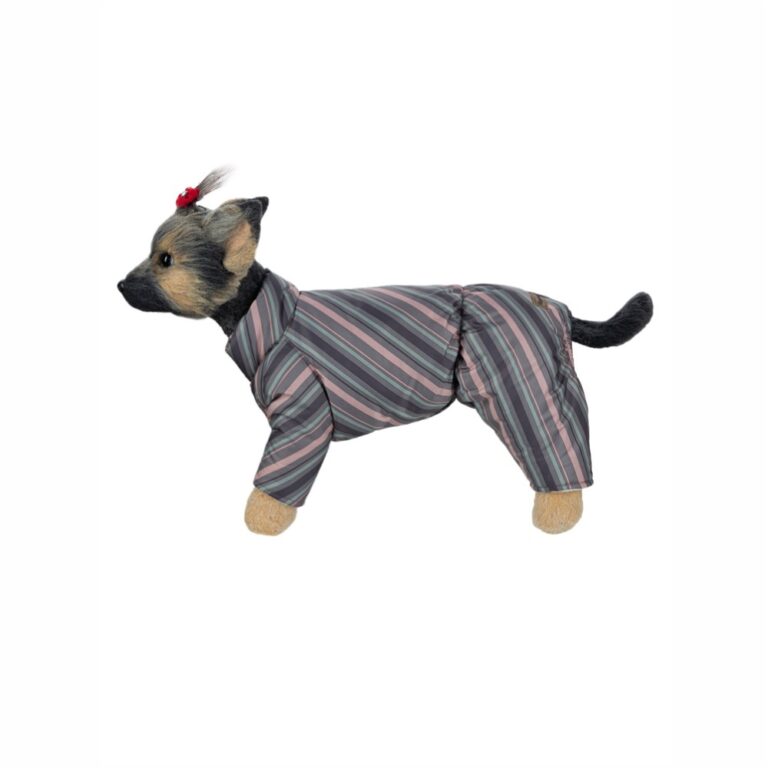 Комбинезон для собак Dogmoda Райе воротник-стойка девочка, серый-3, спина 28см — цена и наличие Комбинезон для собак Dogmoda Райе воротник-стойка девочка, серый-3, спина 28см