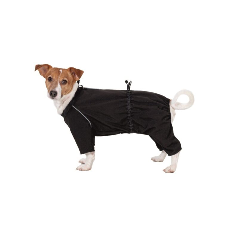 Комбинезон для собак Dogmoda Softshell (унисекс) 3 28см L — цена и наличие Комбинезон для собак Dogmoda Softshell (унисекс) 3 28см L