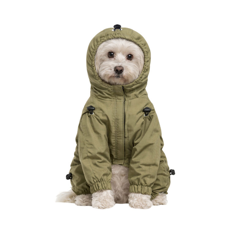Комбинезон для собак Foxie Nature Explorer XS (длина спины 25см) зеленый — цена и наличие Комбинезон для собак Foxie Nature Explorer XS (длина спины 25см) зеленый