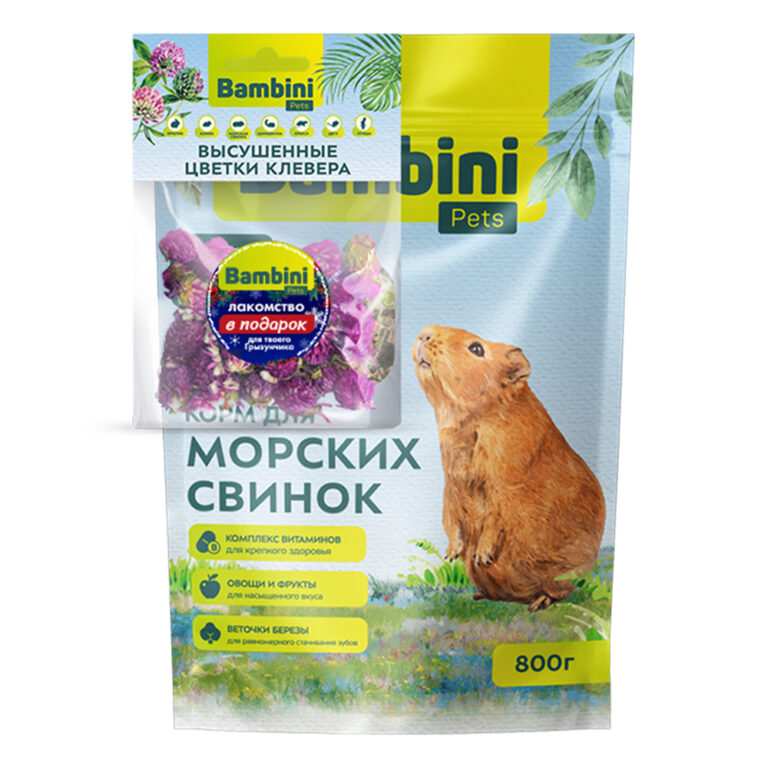 Корм для грызунов BAMBINI PETS для морских свинок 800г + лакомство цветы клевера в ПОДАРОК