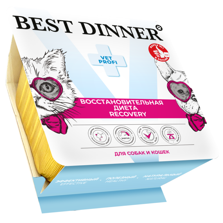 Корм для кошек и собак Best Dinner Vet Profi Recovery повыш.калор.при истощении, паштет ламист. 100г — цена и наличие Корм для кошек и собак Best Dinner Vet Profi Recovery повыш.калор.при истощении, паштет ламист. 100г