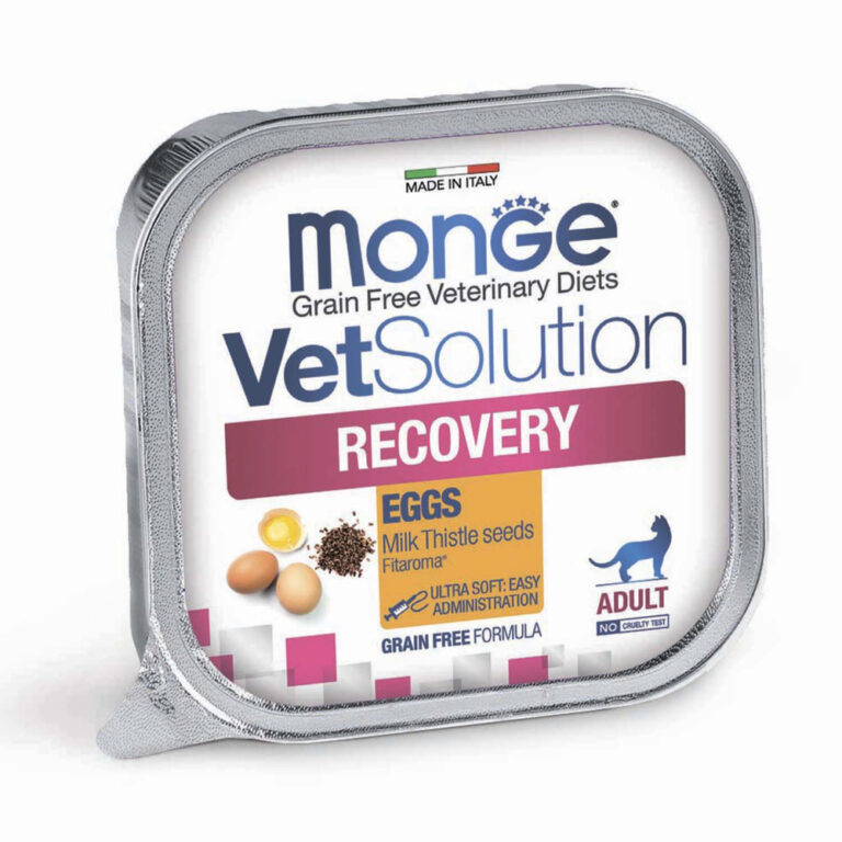 Корм для кошек Monge VetSolution Recovery в период выздоровления ламист. 100г — цена и наличие Корм для кошек Monge VetSolution Recovery в период выздоровления ламист. 100г