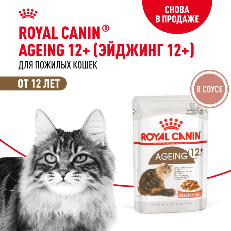 Корм для кошек ROYAL CANIN Ageing 12+ для стареющих от 12 лет, мясо в соусе пауч 85г — цена и наличие Корм для кошек ROYAL CANIN Ageing 12+ для стареющих от 12 лет, мясо в соусе пауч 85г