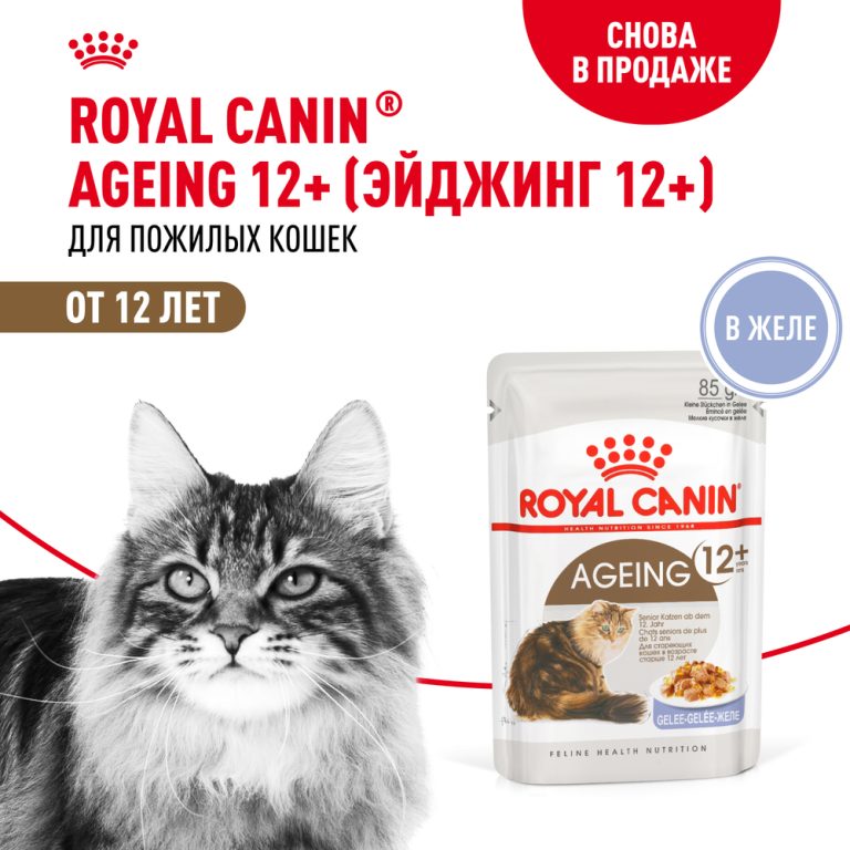 Корм для кошек ROYAL CANIN Ageing 12+ старше 12 лет, в желе конс. 85г Корм для кошек ROYAL CANIN Ageing 12+ старше 12 лет, в желе конс. 85г