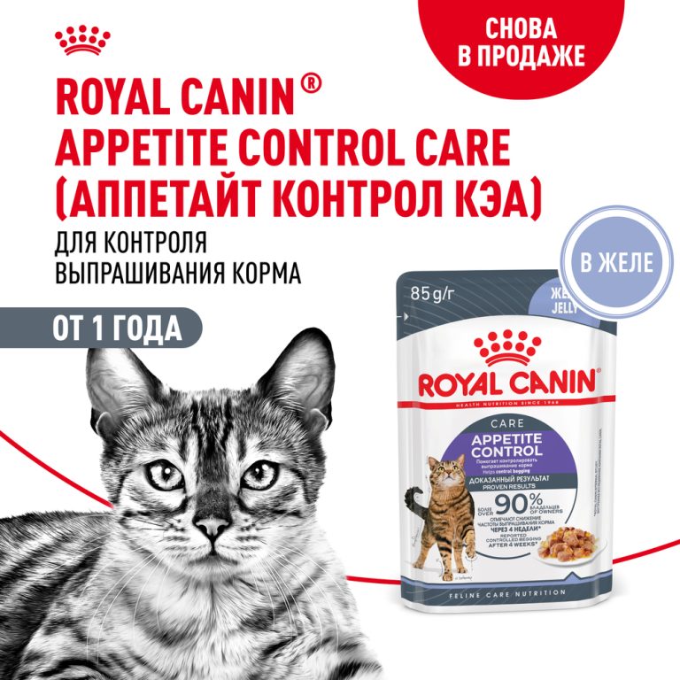 Корм для кошек ROYAL CANIN Appetite Control Care для контр.выпр.корма, мелк.кусочки в желе пауч 85г Корм для кошек ROYAL CANIN Appetite Control Care для контр.выпр.корма, мелк.кусочки в желе пауч 85г