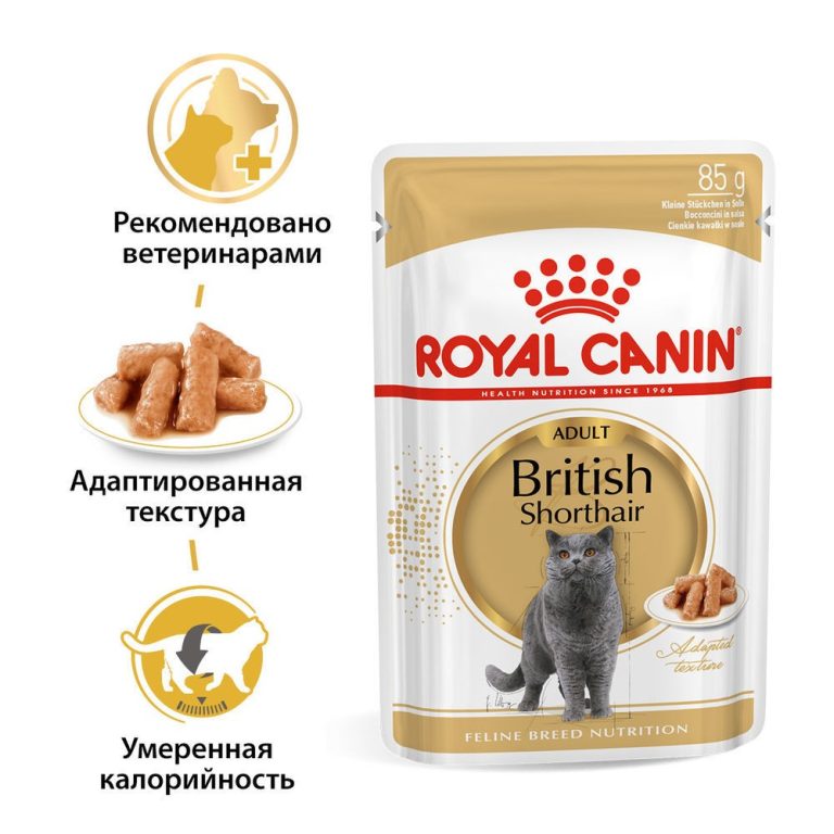 Корм для кошек ROYAL CANIN British Shorthair для британ.короткошерстной породы,мясо в соусе пауч 85г Корм для кошек ROYAL CANIN British Shorthair для британ.короткошерстной породы,мясо в соусе пауч 85г