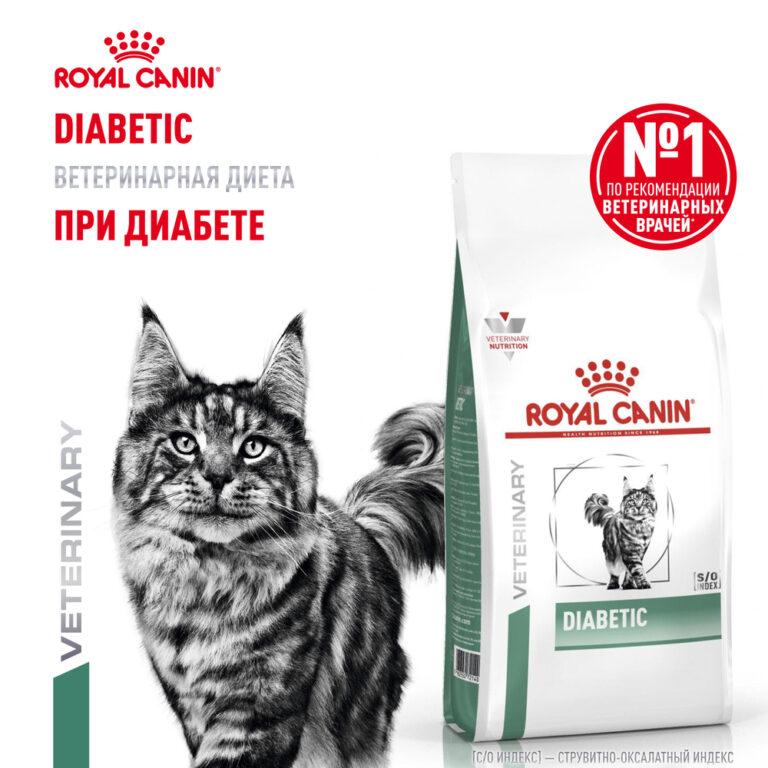 Корм для кошек ROYAL CANIN Diabetic при сахарном диабете сух. 350г — цена и наличие Корм для кошек ROYAL CANIN Diabetic при сахарном диабете сух. 350г