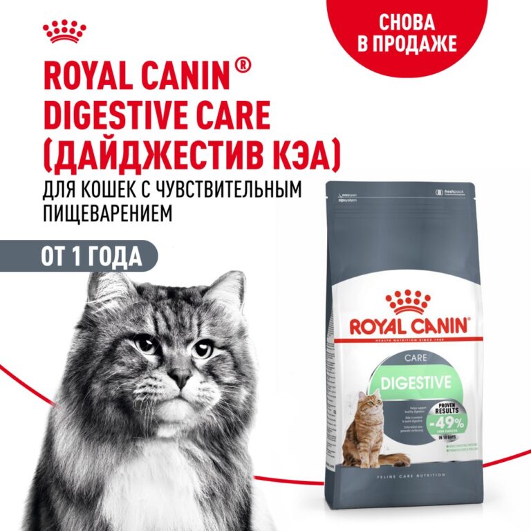 Корм для кошек ROYAL CANIN Digestive Comfort 38 с расстройствами пищеварительной системы сух. 400г