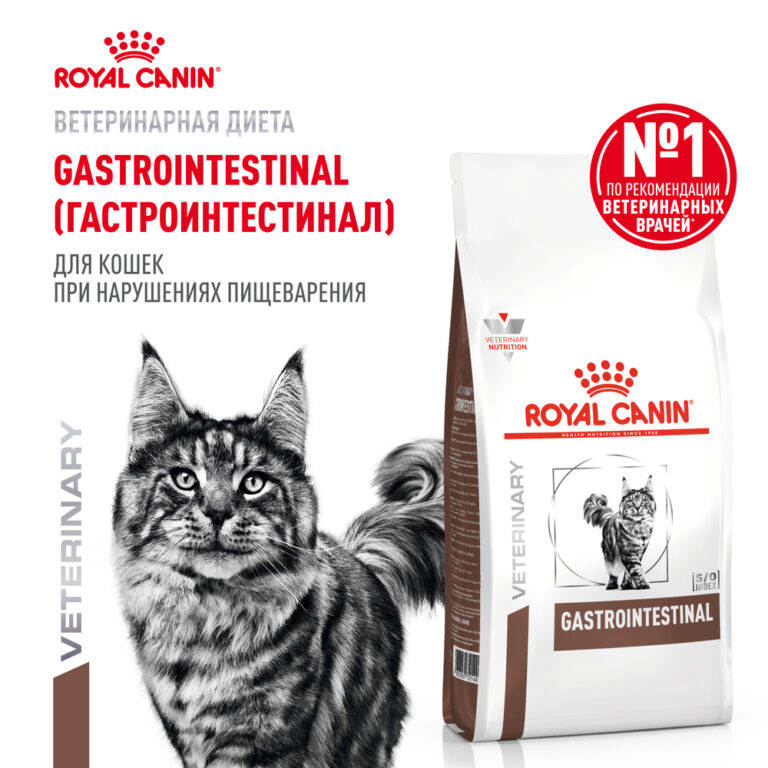 Корм для кошек ROYAL CANIN Gastrointestinal при острых расстройствах пищеварения сух. 350г — цена и наличие Корм для кошек ROYAL CANIN Gastrointestinal при острых расстройствах пищеварения сух. 350г
