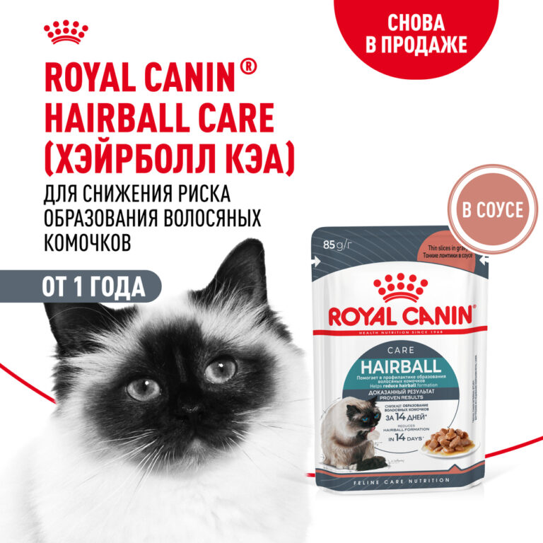 Корм для кошек ROYAL CANIN Hairball Care для профил.образования волосяных комочков, соус пауч 85г — цена и наличие Корм для кошек ROYAL CANIN Hairball Care для профил.образования волосяных комочков, соус пауч 85г