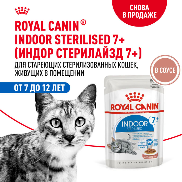 Корм для кошек ROYAL CANIN Indoor 7+ для домашних старше 7 лет (соус) пауч 85г — цена и наличие Корм для кошек ROYAL CANIN Indoor 7+ для домашних старше 7 лет (соус) пауч 85г