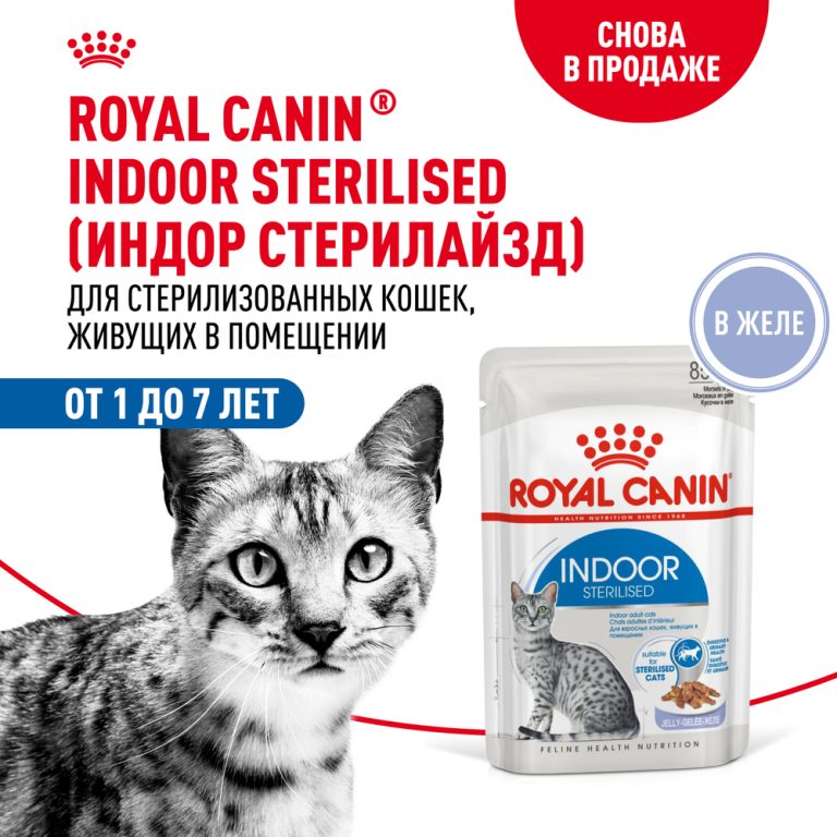 Корм для кошек ROYAL CANIN Indoor Sterilized для кастрир. живущих в помещ., кусочки в желе пауч 85г Корм для кошек ROYAL CANIN Indoor Sterilized для кастрир. живущих в помещ., кусочки в желе пауч 85г