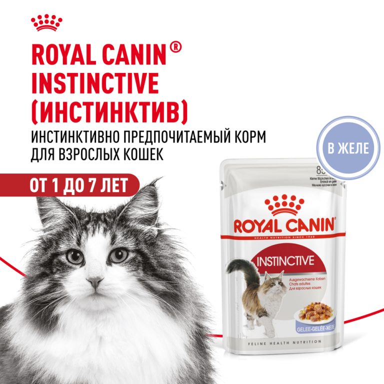 Корм для кошек ROYAL CANIN Instinctive желе пауч 85г Корм для кошек ROYAL CANIN Instinctive желе пауч 85г