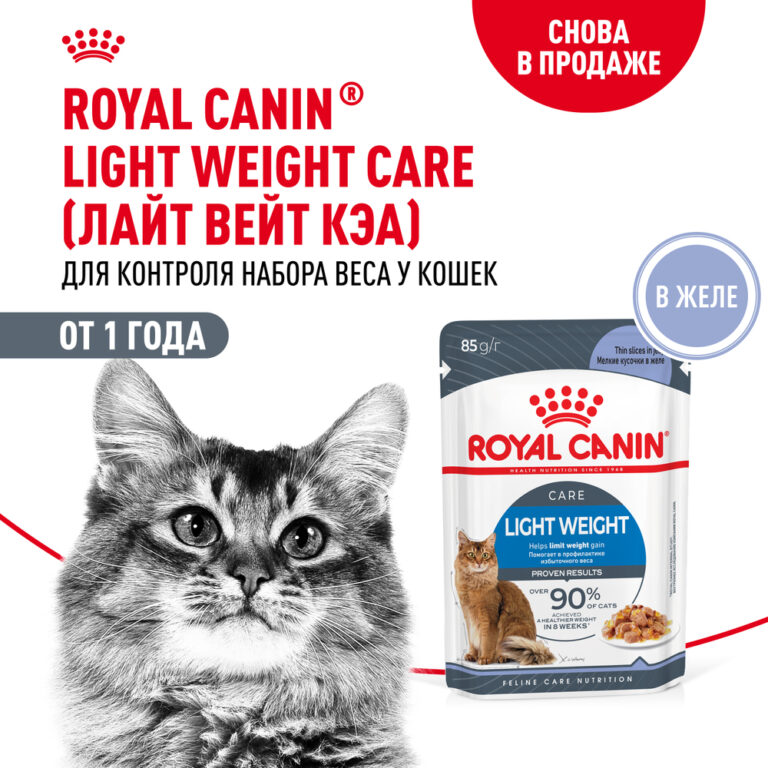 Корм для кошек ROYAL CANIN Light Weight Care для контроля веса, мелкие кусочки в желе пауч 85г — цена и наличие Корм для кошек ROYAL CANIN Light Weight Care для контроля веса, мелкие кусочки в желе пауч 85г