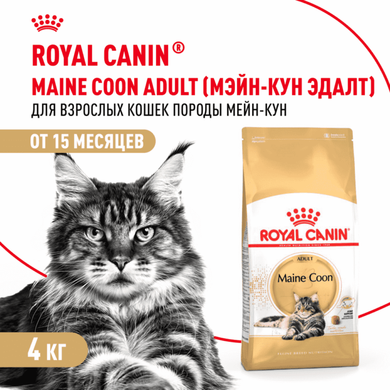 Корм для кошек ROYAL CANIN Maine Coon сбалансированный для породы мэйн кун сух. 4кг — цена и наличие Корм для кошек ROYAL CANIN Maine Coon сбалансированный для породы мэйн кун сух. 4кг