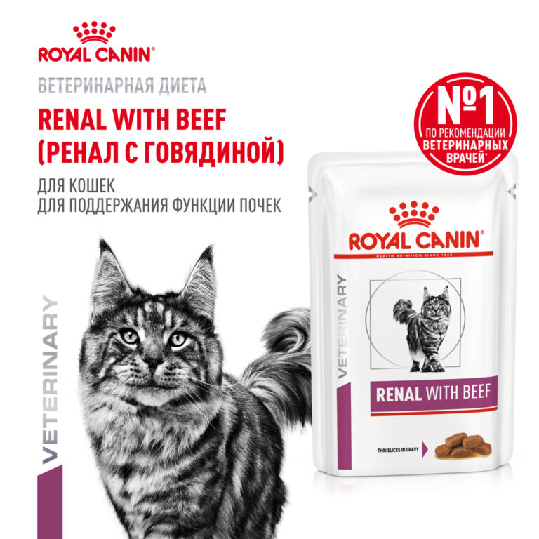 Корм для кошек ROYAL CANIN Renal для поддержания функции почек, говядина пауч 85г Корм для кошек ROYAL CANIN Renal для поддержания функции почек, говядина пауч 85г