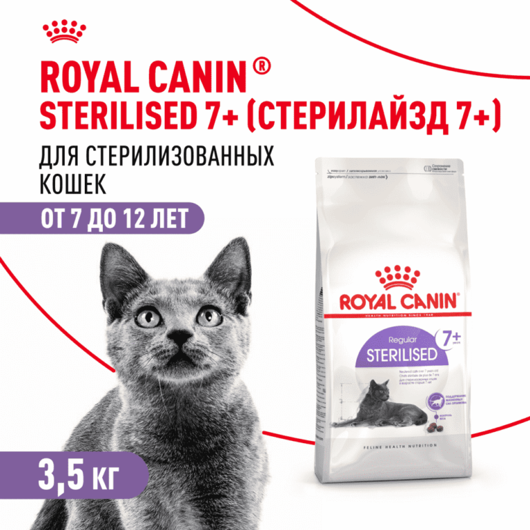 Корм для кошек ROYAL CANIN Sterilised 7+ сбалансированный для стерилизованных сух. 3,5кг — цена и наличие Корм для кошек ROYAL CANIN Sterilised 7+ сбалансированный для стерилизованных сух. 3,5кг