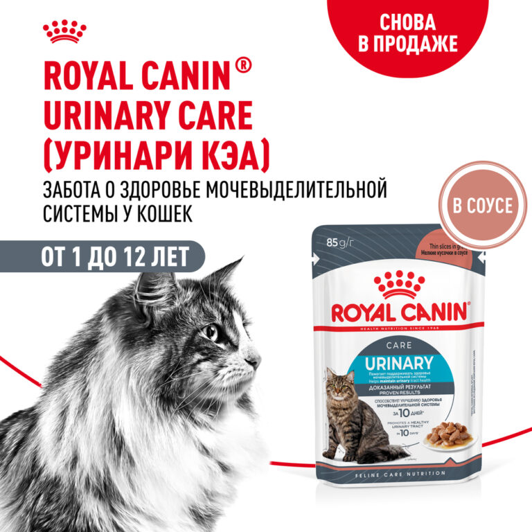 Корм для кошек ROYAL CANIN Urinary Care для подд.здор. мочевыд.сист., мелк.кусочки в соусе пауч 85г