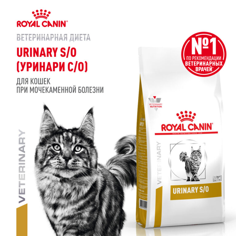Корм для кошек ROYAL CANIN Urinary S/O для растворения струвитных камней сух. 350г — цена и наличие Корм для кошек ROYAL CANIN Urinary S/O для растворения струвитных камней сух. 350г