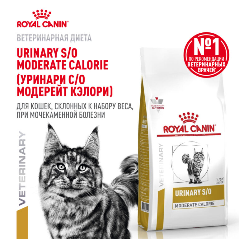Корм для кошек ROYAL CANIN Urinary S/O Moderate Calorie для склонных к набору веса, при МКБ сух.350г — цена и наличие Корм для кошек ROYAL CANIN Urinary S/O Moderate Calorie для склонных к набору веса, при МКБ сух.350г