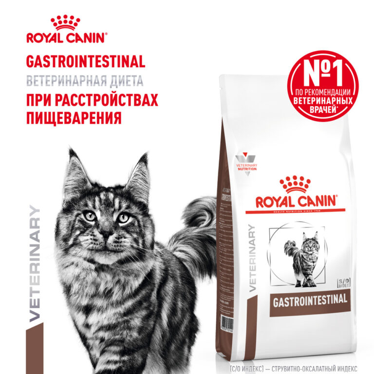 Корм для кошек ROYAL CANIN Vet Diet Gastro Intestinal GI32 при нарушении пищеварения, птица сух. 2кг — цена и наличие Корм для кошек ROYAL CANIN Vet Diet Gastro Intestinal GI32 при нарушении пищеварения, птица сух. 2кг
