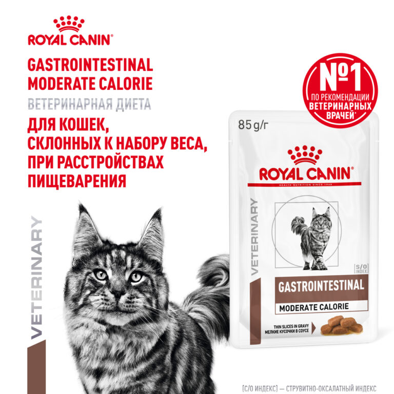 Корм для кошек ROYAL CANIN Vet Diet Gastro Intestinal Moderate Calorie при наруш.пищев, птица пауч 85г — цена и наличие Корм для кошек ROYAL CANIN Vet Diet Gastro Intestinal Moderate Calorie при наруш.пищев, птица пауч 85г