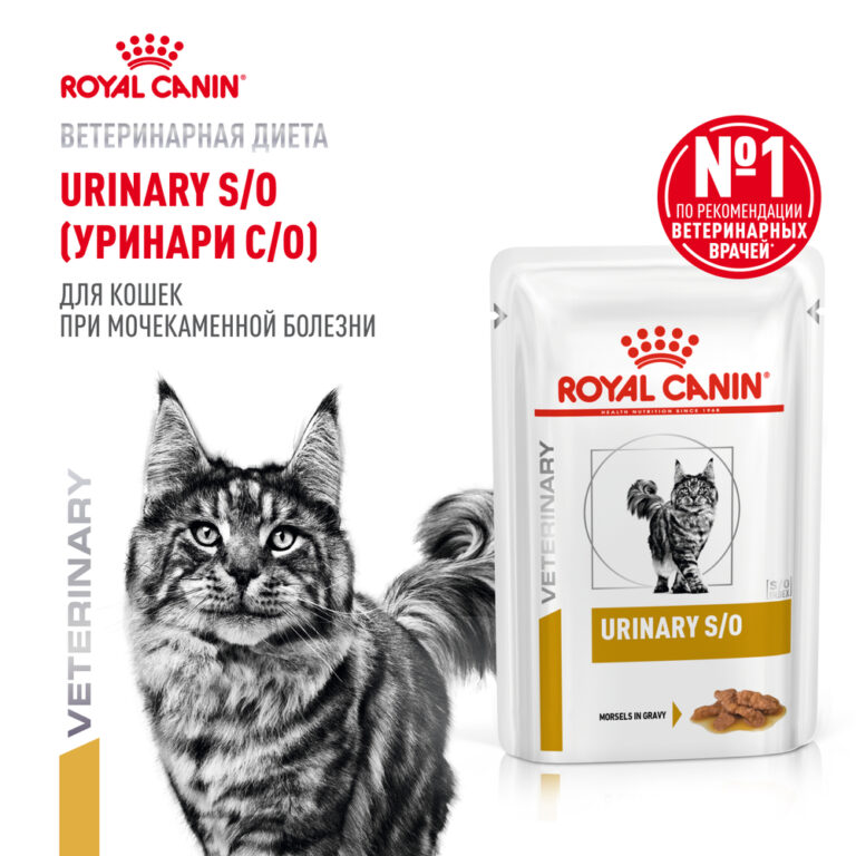 Корм для кошек ROYAL CANIN Vet Diet Urinary S/O при мочекаменной болезни, цыпленок (соус) пауч 85г — цена и наличие Корм для кошек ROYAL CANIN Vet Diet Urinary S/O при мочекаменной болезни, цыпленок (соус) пауч 85г