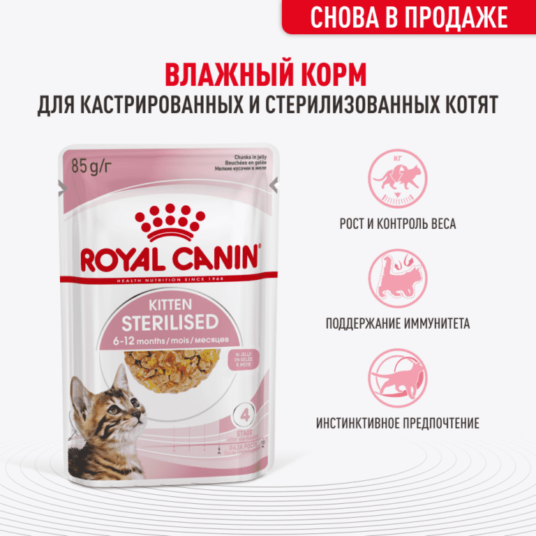 Корм для котят ROYAL CANIN Kitten Sterilised для стерилизованных от 6 мес., кусочки в желе пауч 85г Корм для котят ROYAL CANIN Kitten Sterilised для стерилизованных от 6 мес., кусочки в желе пауч 85г
