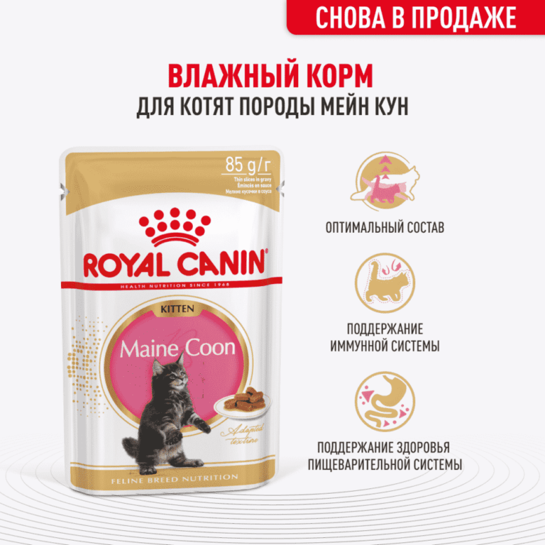 Корм для котят ROYAL CANIN Maine Coon для породы Мэйн Кун, кусочки в соусе пауч 85г