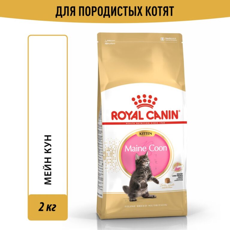 Корм для котят ROYAL CANIN Maine Coon Kitten сбалансированный для породы мэйн кун сух. 2кг Корм для котят ROYAL CANIN Maine Coon Kitten сбалансированный для породы мэйн кун сух. 2кг