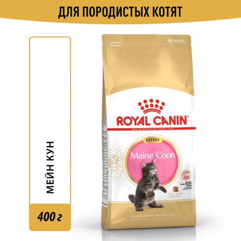 Корм для котят ROYAL CANIN Maine Coon Kitten сбалансированный для породы мэйн кун сух. 400г — цена и наличие Корм для котят ROYAL CANIN Maine Coon Kitten сбалансированный для породы мэйн кун сух. 400г