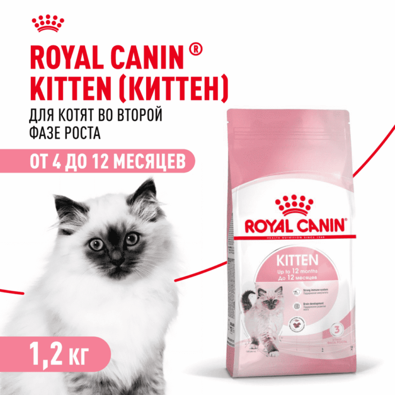 Корм для котят ROYAL CANIN сбалансированный в период второй фазы роста сух. 1,2кг — цена и наличие Корм для котят ROYAL CANIN сбалансированный в период второй фазы роста сух. 1,2кг